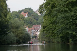 Idyllische Neckarlandschaft